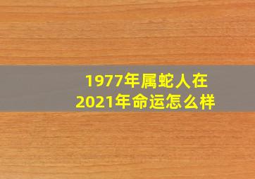 1977年属蛇人在2021年命运怎么样