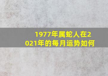 1977年属蛇人在2021年的每月运势如何