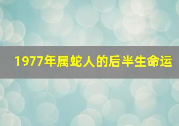 1977年属蛇人的后半生命运