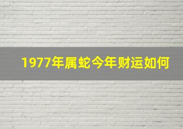 1977年属蛇今年财运如何