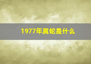 1977年属蛇是什么