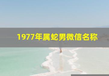 1977年属蛇男微信名称