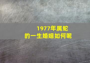 1977年属蛇的一生婚姻如何呢