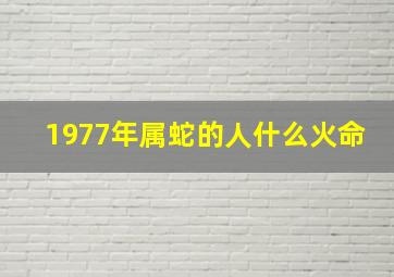 1977年属蛇的人什么火命