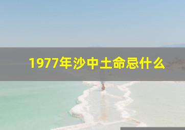 1977年沙中土命忌什么