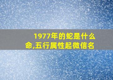 1977年的蛇是什么命,五行属性起微信名