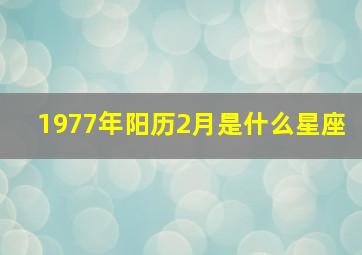 1977年阳历2月是什么星座