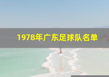 1978年广东足球队名单