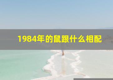 1984年的鼠跟什么相配