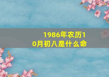 1986年农历10月初八是什么命