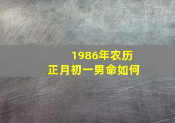 1986年农历正月初一男命如何