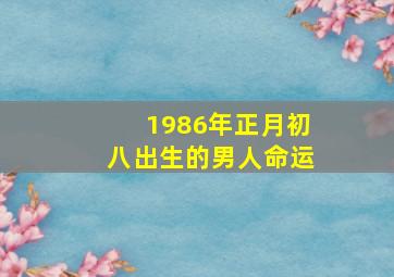 1986年正月初八出生的男人命运