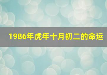 1986年虎年十月初二的命运