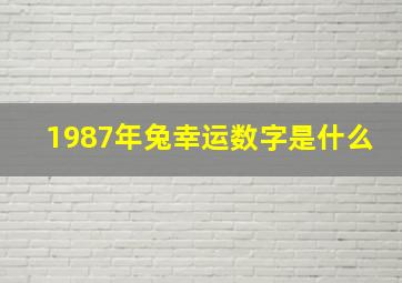 1987年兔幸运数字是什么