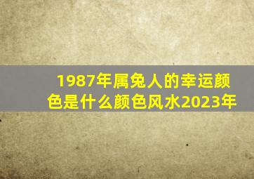 1987年属兔人的幸运颜色是什么颜色风水2023年