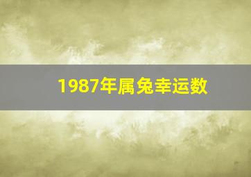 1987年属兔幸运数