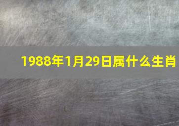 1988年1月29日属什么生肖