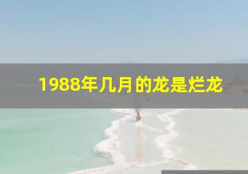 1988年几月的龙是烂龙