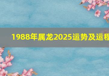 1988年属龙2025运势及运程