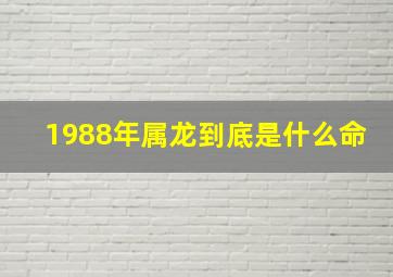 1988年属龙到底是什么命