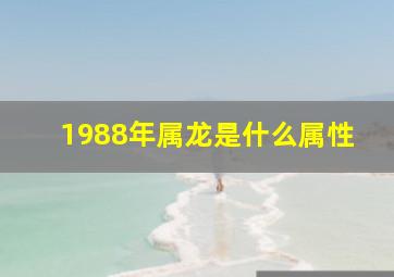 1988年属龙是什么属性