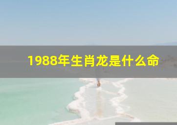 1988年生肖龙是什么命