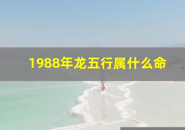 1988年龙五行属什么命