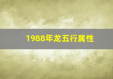 1988年龙五行属性