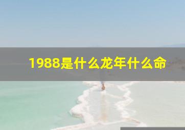 1988是什么龙年什么命