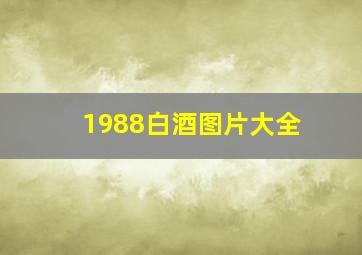 1988白酒图片大全