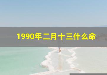 1990年二月十三什么命