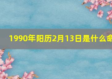 1990年阳历2月13日是什么命