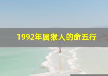 1992年属猴人的命五行