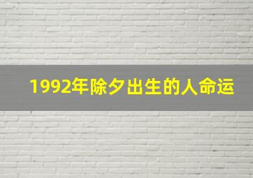 1992年除夕出生的人命运