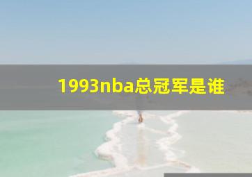 1993nba总冠军是谁