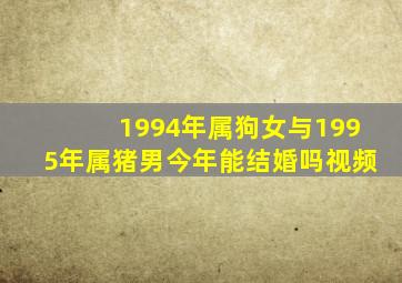 1994年属狗女与1995年属猪男今年能结婚吗视频