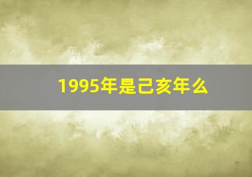 1995年是己亥年么