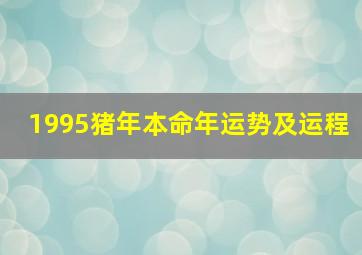 1995猪年本命年运势及运程