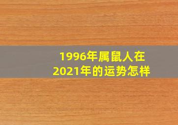 1996年属鼠人在2021年的运势怎样