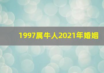 1997属牛人2021年婚姻