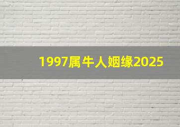 1997属牛人姻缘2025