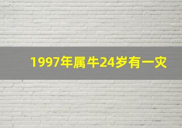 1997年属牛24岁有一灾