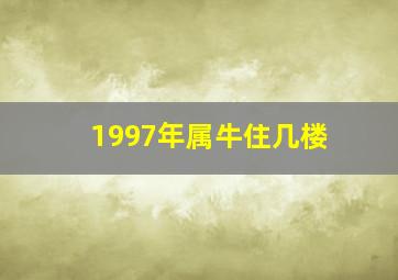 1997年属牛住几楼