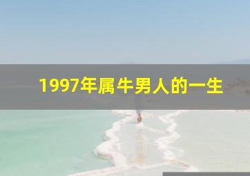 1997年属牛男人的一生