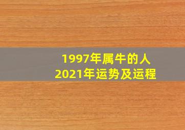 1997年属牛的人2021年运势及运程