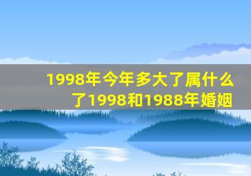 1998年今年多大了属什么了1998和1988年婚姻