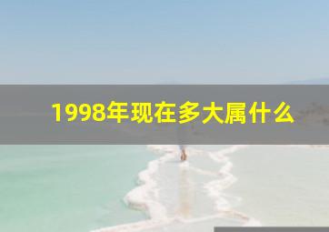 1998年现在多大属什么