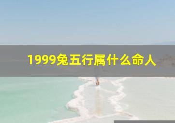 1999兔五行属什么命人