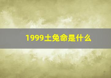 1999土兔命是什么