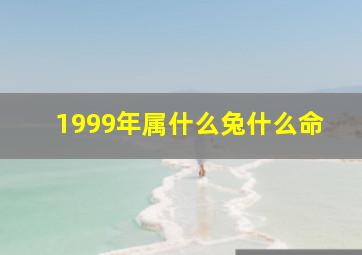 1999年属什么兔什么命